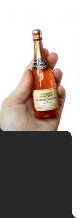 Bottle Magnets Size